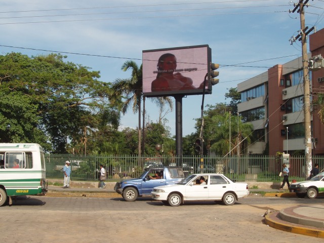 P1010059.JPG