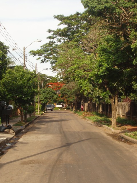 P1010065.JPG