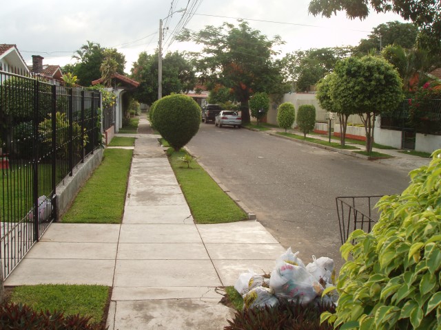 P1010068.JPG