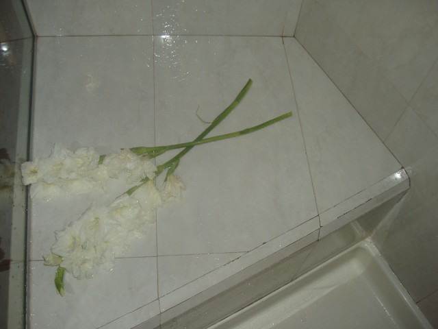 P1010004.JPG