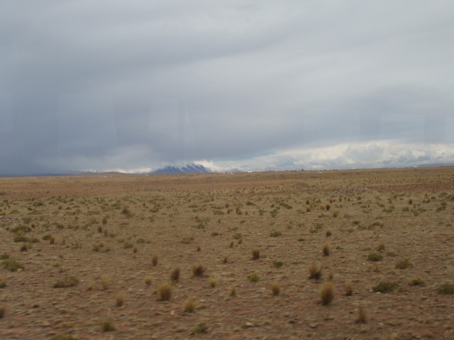 P1010051.JPG