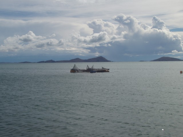 P1010059.JPG