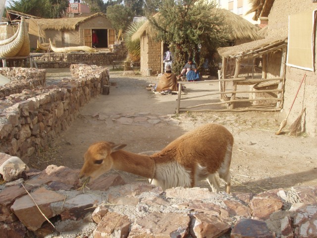 P1010088.JPG