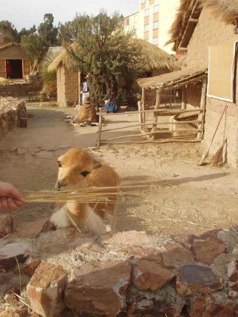 P1010089.JPG