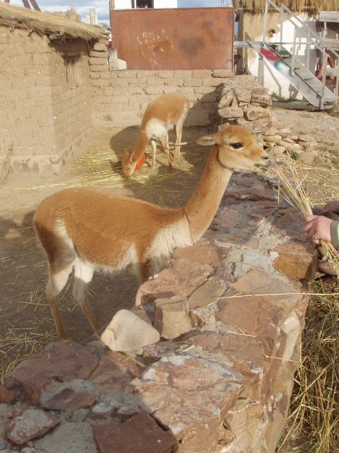 P1010090.JPG