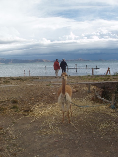 P1010091.JPG