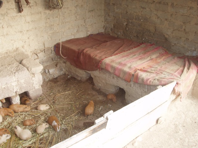 P1010100.JPG