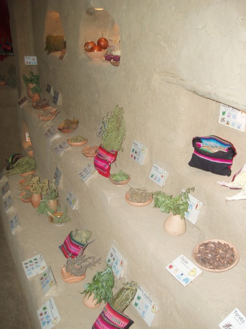 P1010106.JPG
