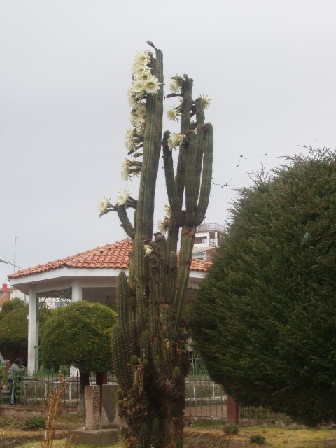 P1010134.JPG