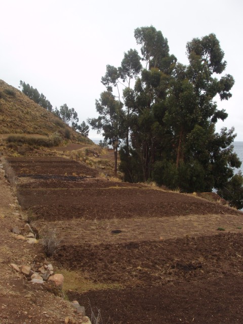 P1010147.JPG