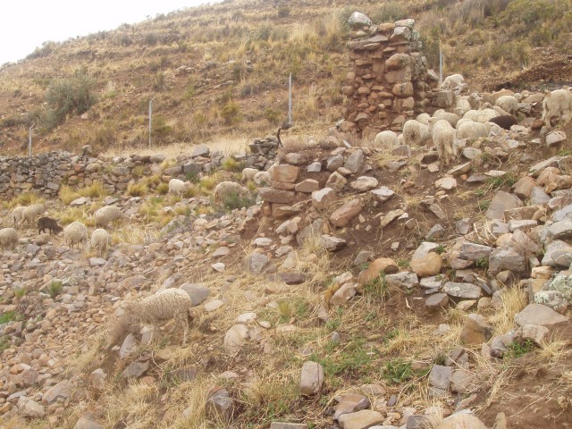 P1010148.JPG