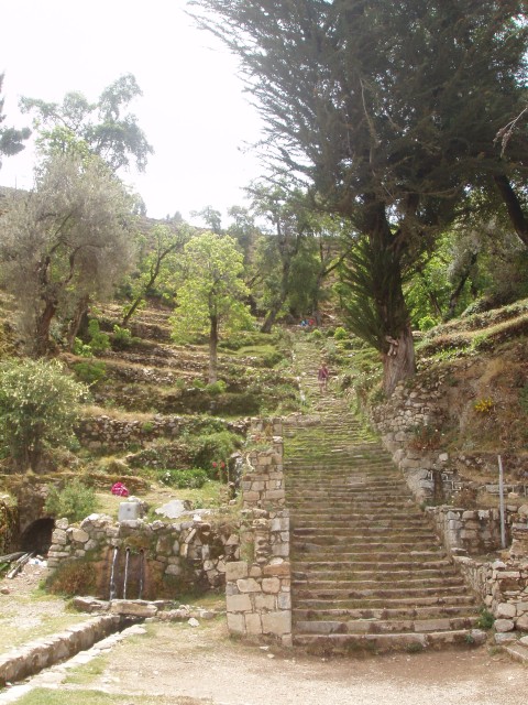 P1010155.JPG