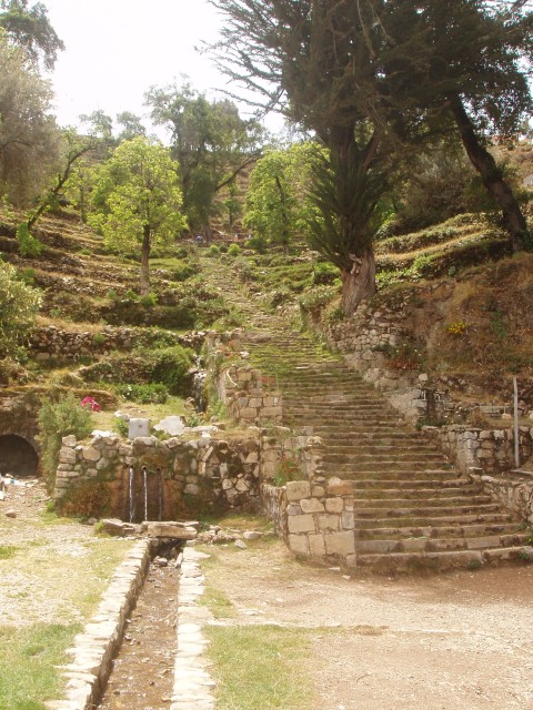 P1010156.JPG