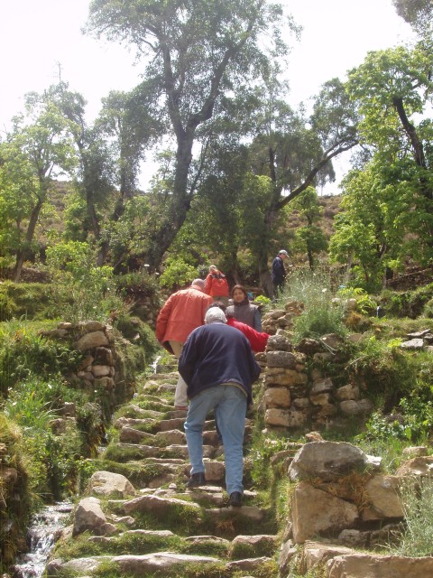 P1010157.JPG