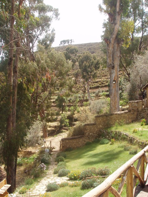 P1010163.JPG