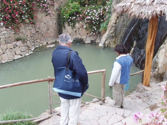 P1010282.JPG