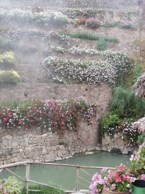 P1010285.JPG