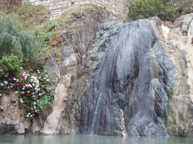 P1010294.JPG