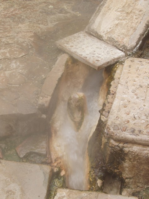 P1010310.JPG
