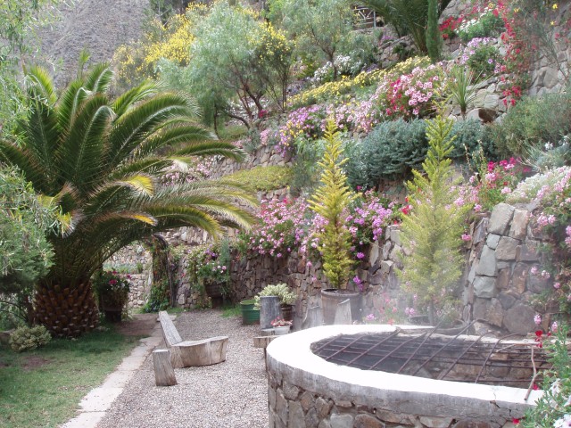 P1010320.JPG
