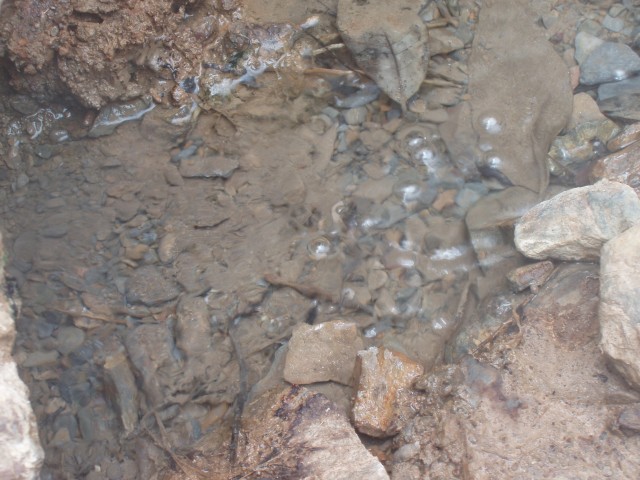 P1010326.JPG