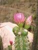 P1010329_thumb.JPG