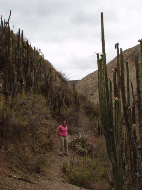 P1010332.JPG