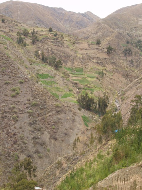 P1010338.JPG
