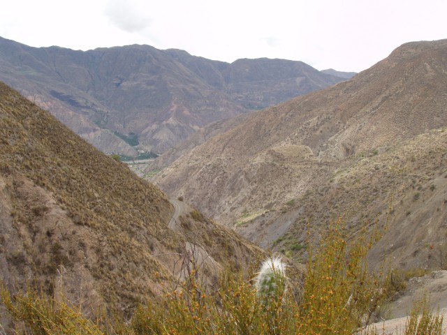 P1010339.JPG