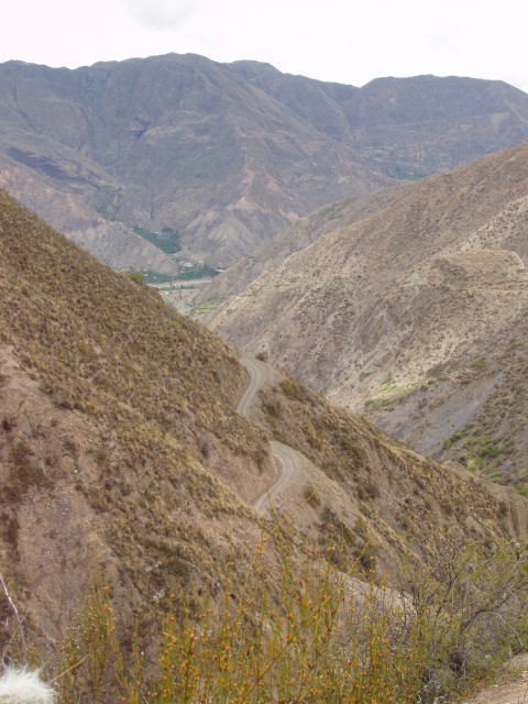 P1010340.JPG