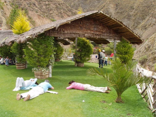 P1010354.JPG