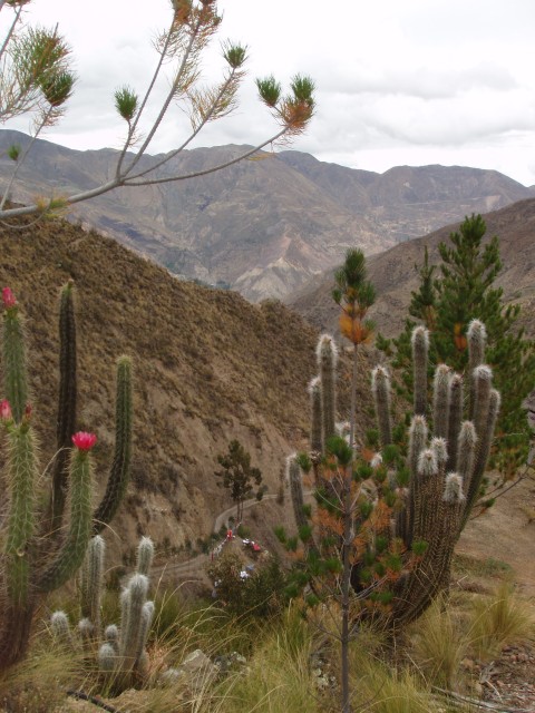 P1010356.JPG