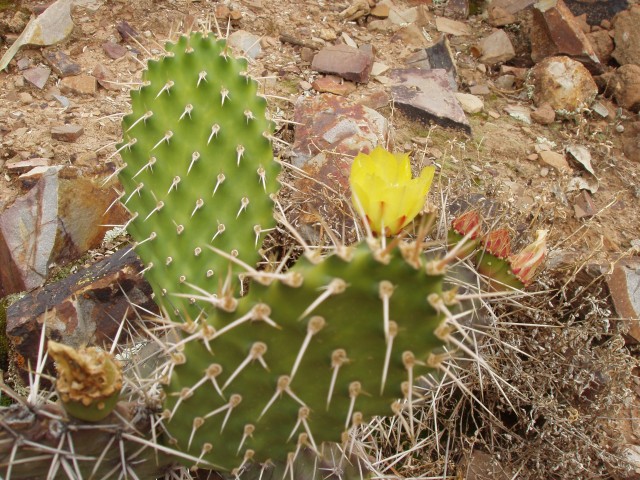P1010357.JPG