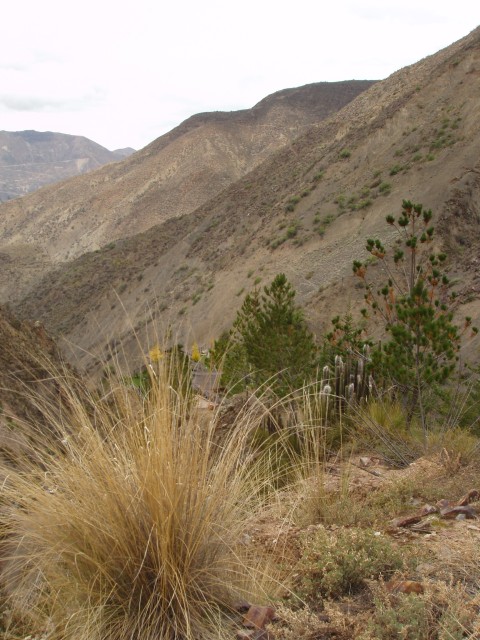 P1010359.JPG
