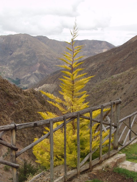 P1010367.JPG