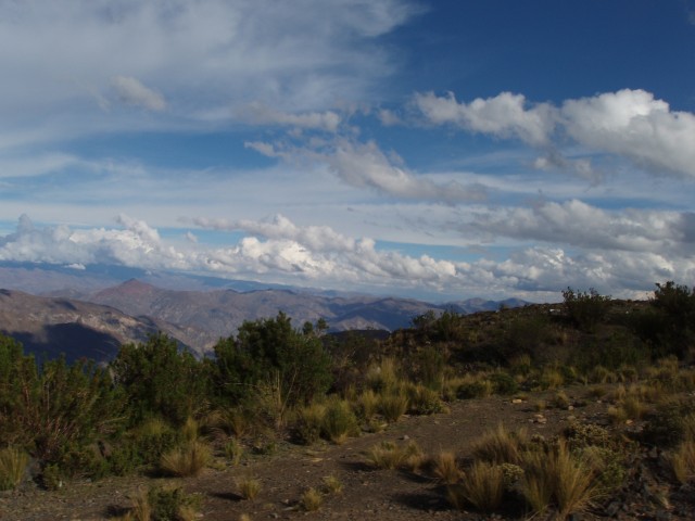 P1010378.JPG