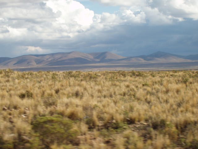 P1010380.JPG