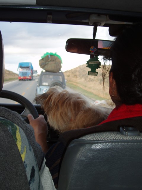 P1010382.JPG