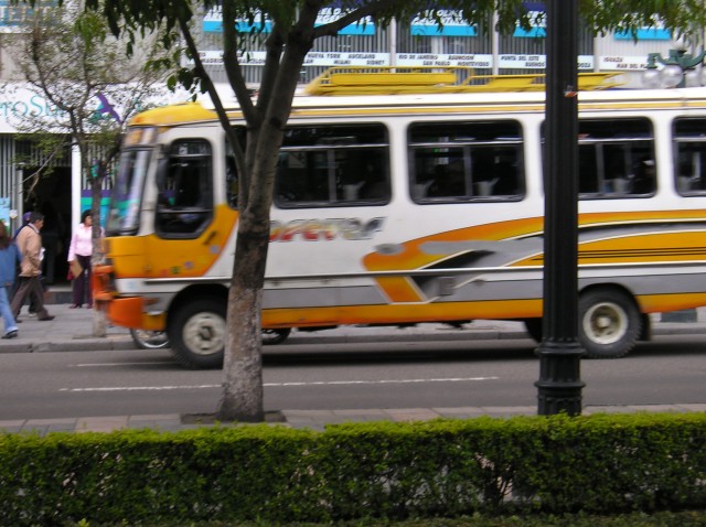 P1010604.JPG