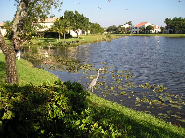 P1010305.JPG