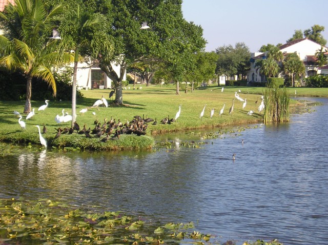 p1010315.jpg