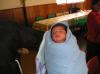 P1010552_thumb.JPG