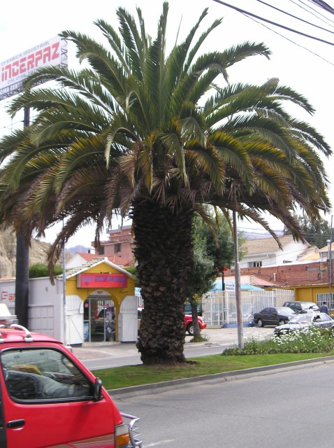 P1010694.JPG
