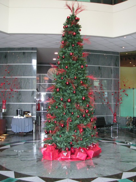 P1010699.JPG