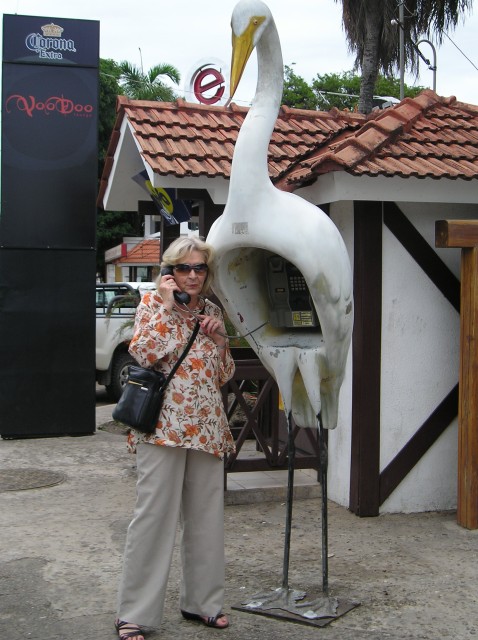 P1010626.JPG