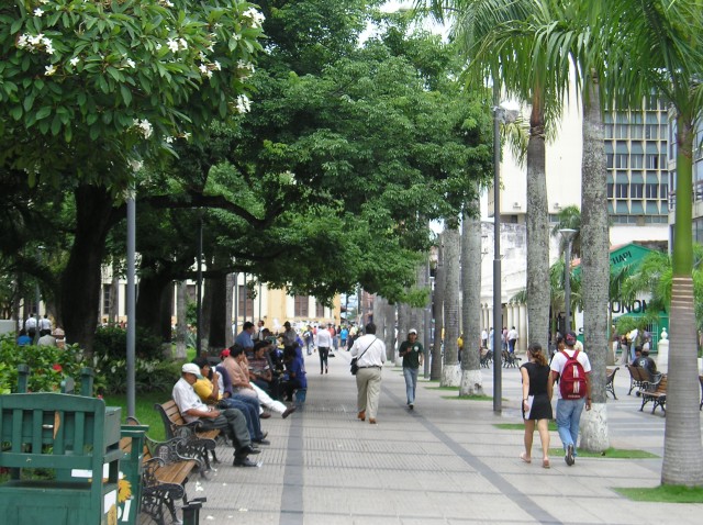P1010630.JPG