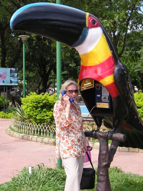 P1010658.JPG