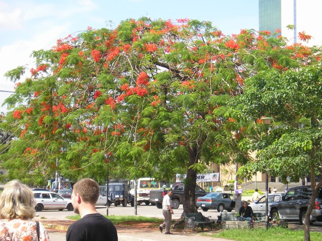 P1010661.JPG