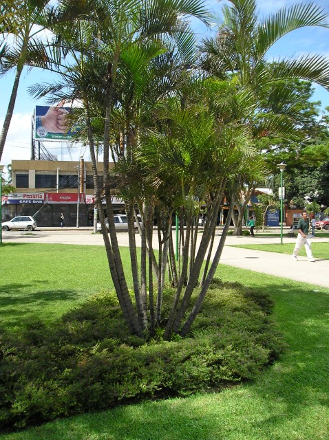 P1010665.JPG