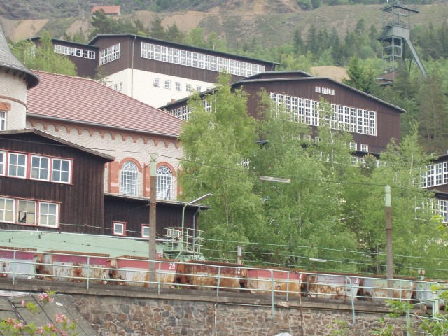 p1010007.jpg